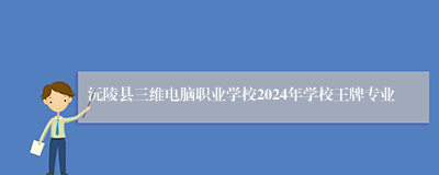 沅陵县三维电脑职业学校2024年学校王牌专业