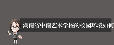 湖南省中南艺术学校的校园环境如何
