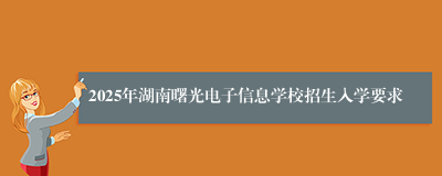 2025年湖南曙光电子信息学校招生入学要求