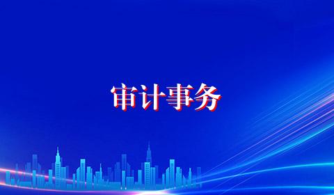审计事务