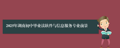 2025年湖南初中毕业读软件与信息服务专业前景