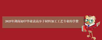 2025年湖南初中毕业读高分子材料加工工艺专业的学费