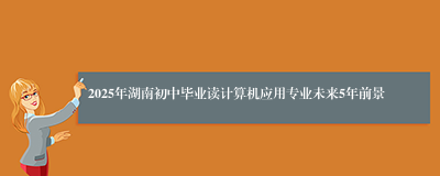 2025年湖南初中毕业读计算机应用专业未来5年前景