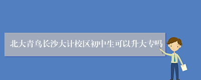 北大青鸟长沙大计校区初中生可以升大专吗