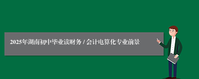 2025年湖南初中毕业读财务 / 会计电算化专业前景
