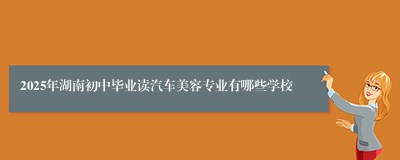 2025年湖南初中毕业读汽车美容专业有哪些学校