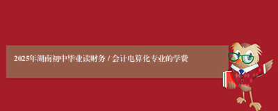 2025年湖南初中毕业读财务 / 会计电算化专业的学费
