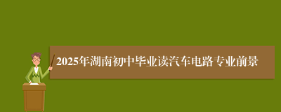 2025年湖南初中毕业读汽车电路专业前景