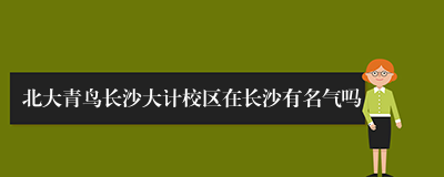 北大青鸟长沙大计校区在长沙有名气吗