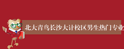 北大青鸟长沙大计校区男生热门专业