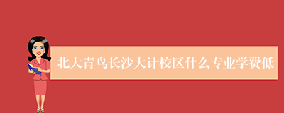 北大青鸟长沙大计校区什么专业学费低