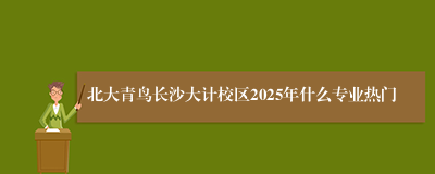 北大青鸟长沙大计校区2025年什么专业热门