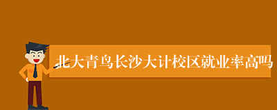 北大青鸟长沙大计校区就业率高吗