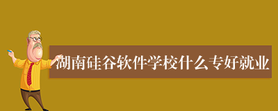 湖南硅谷软件学校什么专好就业