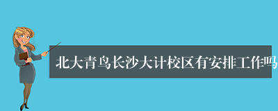 北大青鸟长沙大计校区有安排工作吗