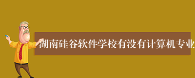 湖南硅谷软件学校有没有计算机专业