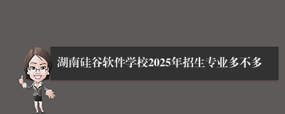 湖南硅谷软件学校2025年招生专业多不多