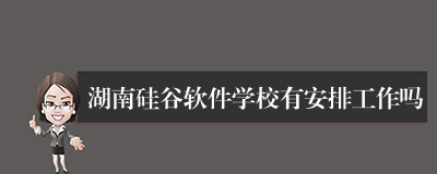 湖南硅谷软件学校有安排工作吗