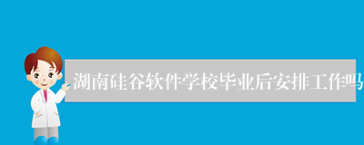 湖南硅谷软件学校毕业后安排工作吗