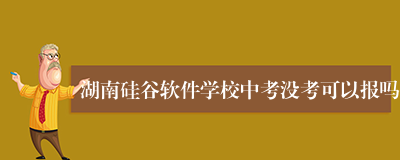 湖南硅谷软件学校中考没考可以报吗