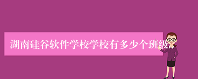 湖南硅谷软件学校学校有多少个班级