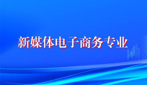新媒体电子商务专业