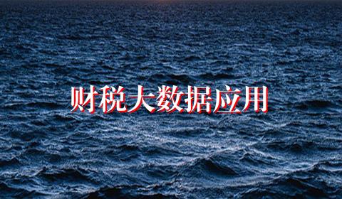 财税大数据应用