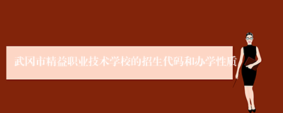 武冈市精益职业技术学校的招生代码和办学性质
