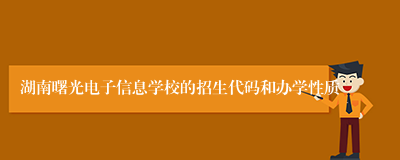 湖南曙光电子信息学校的招生代码和办学性质
