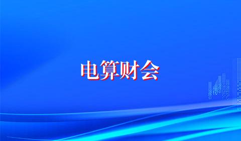 电算财会