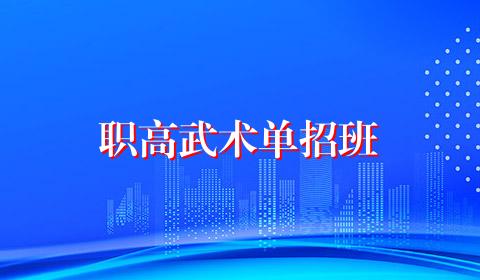 职高武术单招班