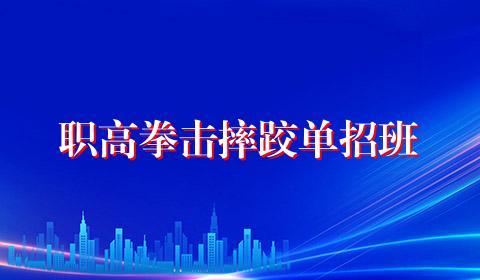 职高拳击摔跤单招班