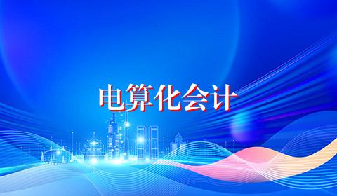 电算化会计