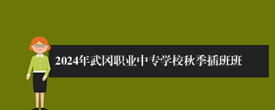 2024年武冈职业中专学校秋季插班班