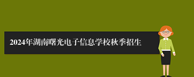 2024年湖南曙光电子信息学校秋季招生