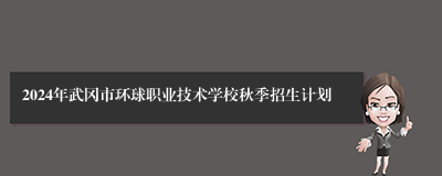 2024年武冈市环球职业技术学校秋季招生计划