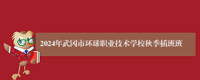 2024年武冈市环球职业技术学校秋季插班班