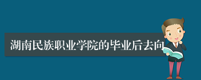 湖南民族职业学院的毕业后去向