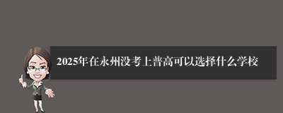 2025年在永州没考上普高可以选择什么学校