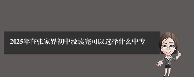 2025年在张家界初中没读完可以选择什么中专