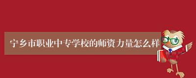 宁乡市职业中专学校的师资力量怎么样