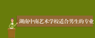 湖南中南艺术学校适合男生的专业