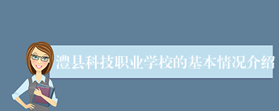 澧县科技职业学校的基本情况介绍
