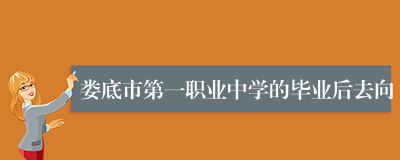 娄底市第一职业中学的毕业后去向
