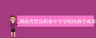 湖南省澧县职业中专学校的教学成果