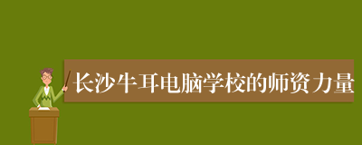 长沙牛耳电脑学校的师资力量