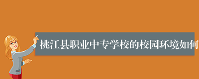 桃江县职业中专学校的校园环境如何