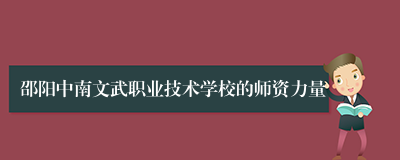 邵阳中南文武职业技术学校的师资力量