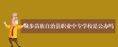 城步苗族自治县职业中专学校是公办吗