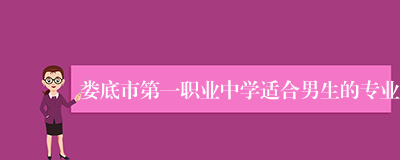 娄底市第一职业中学适合男生的专业